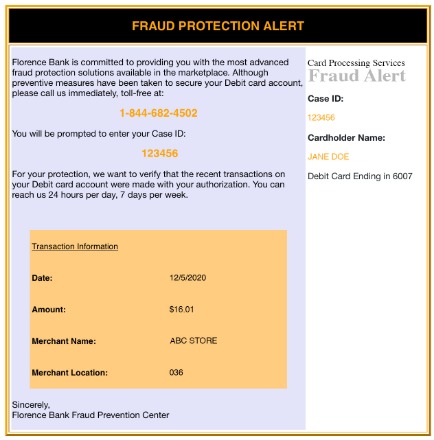 FraudDetect email example