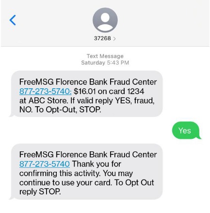 FraudDetect text message example