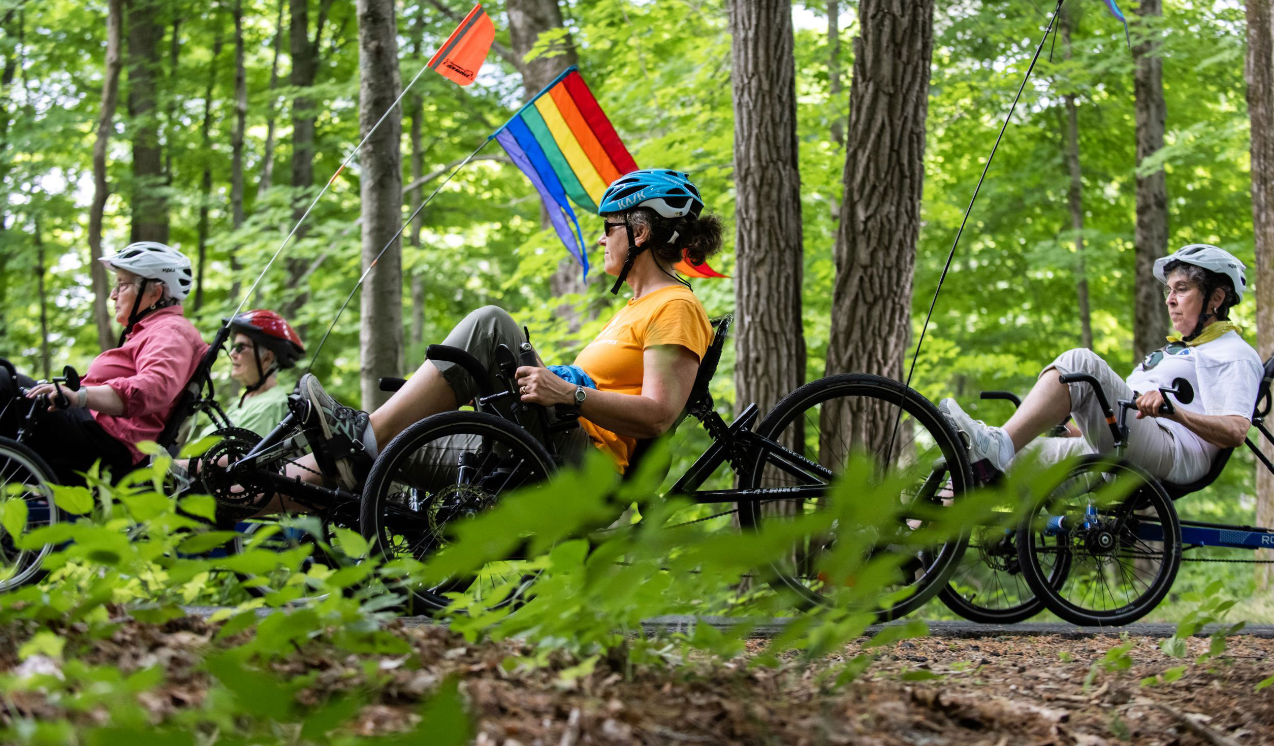 Large banner image of a group cycling through the forest