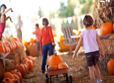 Children pumpkin picking